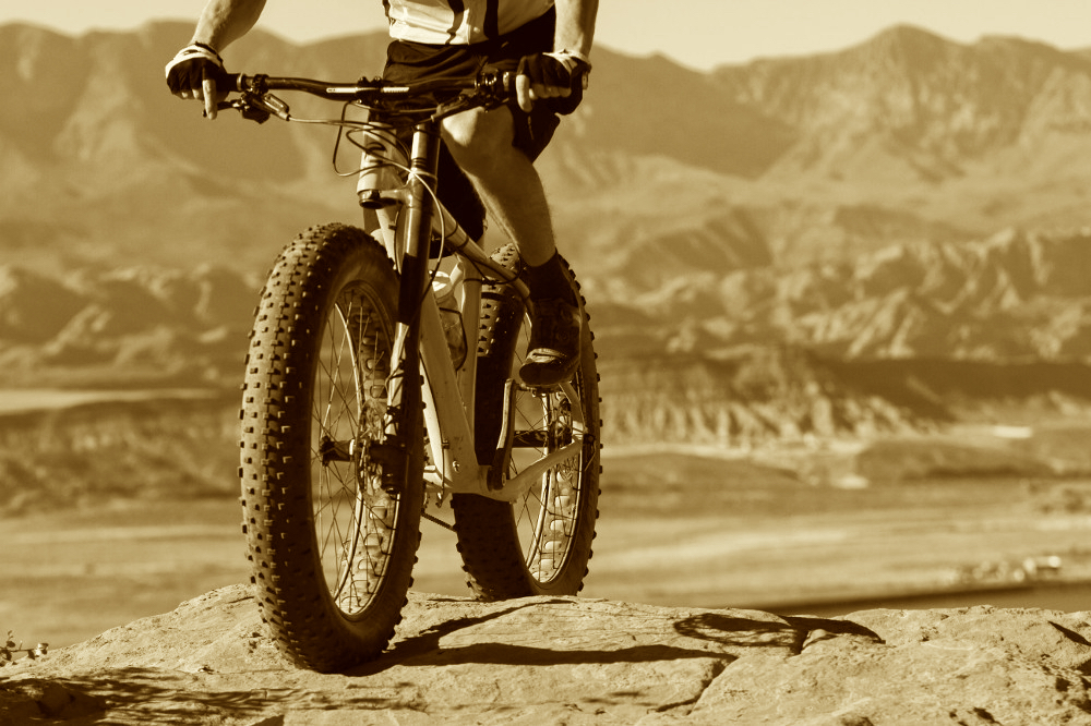 Cannondale fatbike hot sale